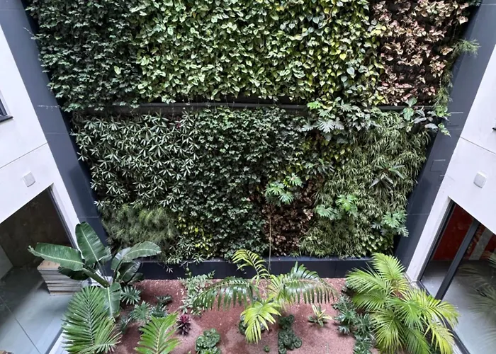 Daire Oasis Pavia 15 Las Palmas de Gran Canaria