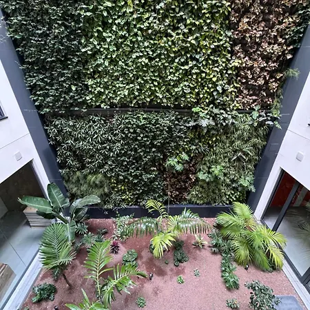 דירה Oasis Pavia 15 לאס פאלמס דה גראן קנאריה